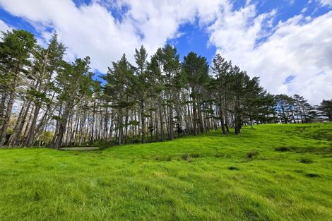 Photo of property in 42 Ford Road, Paparoa, Maungaturoto, 0583