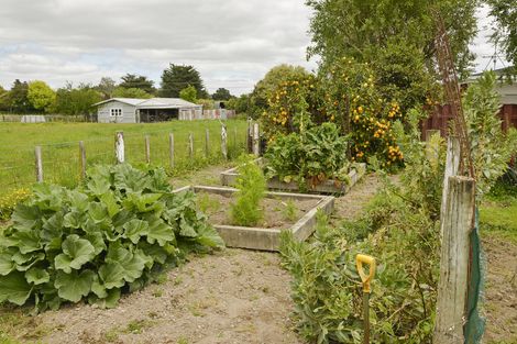 Photo of property in 11 Fairbrother Street, Carterton, 5713