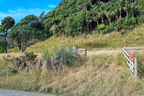 Photo of property in 125 Te Mahoe Road, Mokau, 4376