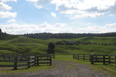 Photo of property in 882a Whakamarama Road, Whakamarama, 3179