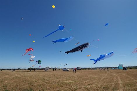 Photo of property in 12 Kennedy Quay, Huntingdon, 7774