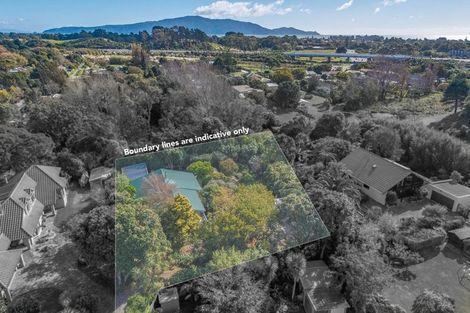 Photo of property in 15 Alexander Street, Waikanae, 5036