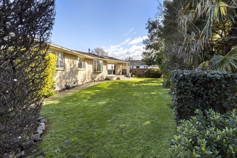 Photo of property in 3 Leefield Street, Blenheim, 7201