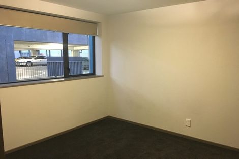 Photo of property in Dual Apartments, 103/142 Vivian Street, Te Aro, Wellington, 6011