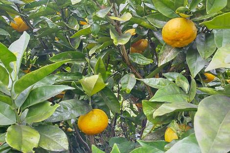 Photo of property in 13 Tawhai Street, Stokes Valley, Lower Hutt, 5019