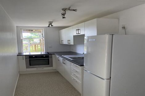 Photo of property in 25 Aitken Terrace, Kingsland, Auckland, 1021