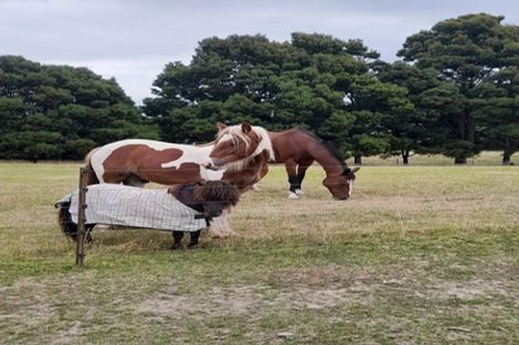 Photo of property in 12 Fairfield Street, Brightwater, 7022