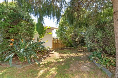 Photo of property in 14 Strathmore Avenue, Levin, 5510