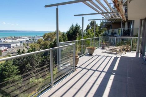 Photo of property in Northridge Apartments, 4/24 Hospital Terrace, Hospital Hill, Napier, 4110