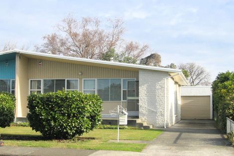 Photo of property in 910b Rata Street, Mahora, Hastings, 4120