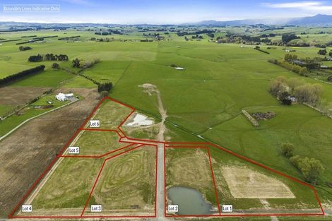 Photo of property in 373 Colyton Road, Colyton, Feilding, 4775