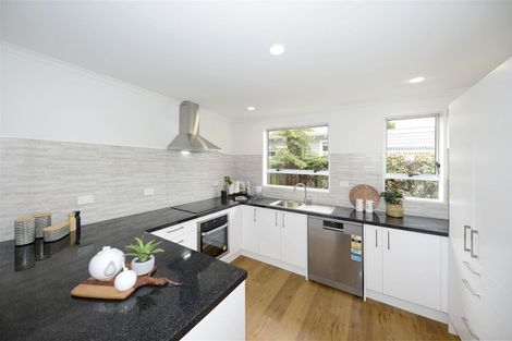 Photo of property in 17 Lionel Street, Avonside, Christchurch, 8061