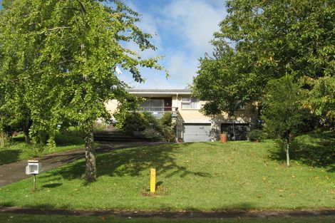 Photo of property in 17 Frances Street, Tirau, 3410