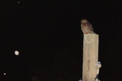 Photo of property in 375 Hot Springs Road, Tahawai, Katikati, 3178