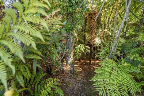 Photo of property in 200b Mcphail Road, Oropi, Tauranga, 3173