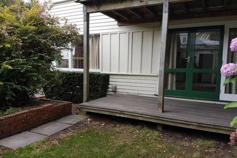 Photo of property in 117 Aro Street, Aro Valley, Wellington, 6021