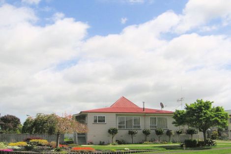 Photo of property in 58 Young Street, Morrinsville, 3300