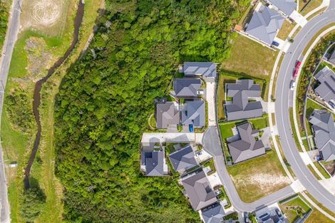 Photo of property in 160a John Burke Drive, Aotea, Porirua, 5024