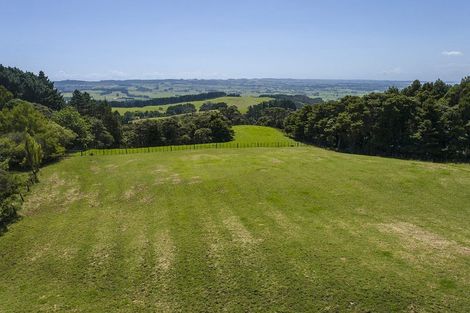 Photo of property in 379 Kiwitahi Road, Helensville, 0875