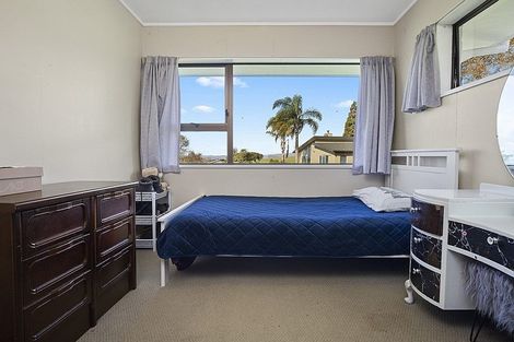 Photo of property in 619 Mercer Ferry Road, Pukekawa, Tuakau, 2696