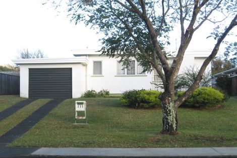 Photo of property in 111 Alexander Road, Raumati Beach, Paraparaumu, 5032