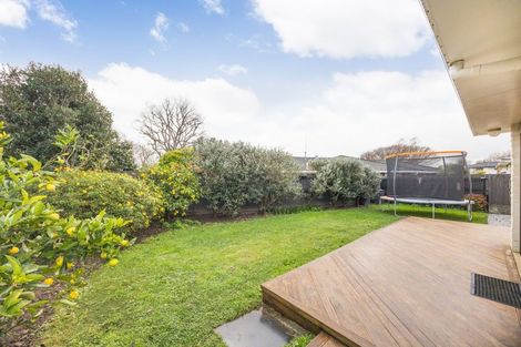 Photo of property in 4a Caulfield Place, Awapuni, Palmerston North, 4412
