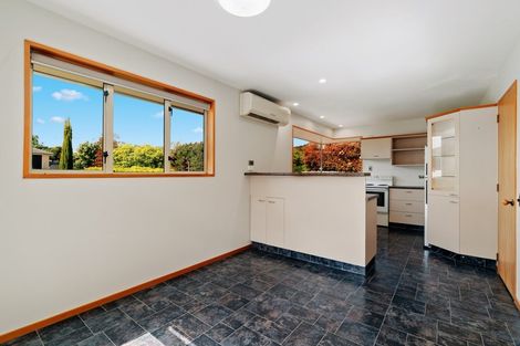 Photo of property in 101 Mount Iron Drive, Wanaka, 9305