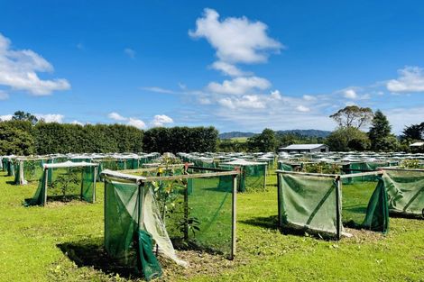 Photo of property in 2/792 No 2 Road, Te Ranga, Te Puke, 3182