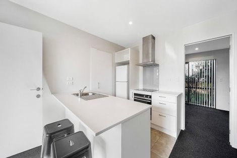 Photo of property in 32/17 Bunyan Street, Waltham, Christchurch, 8023