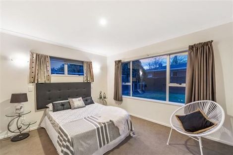 Photo of property in 17 Egmont Street, Chartwell, Hamilton, 3210