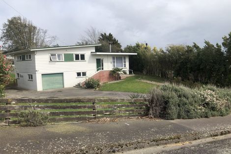 Photo of property in 60 Wakeman Street, Pahiatua, 4910