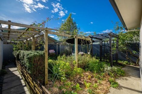 Photo of property in 21 Grove Street, The Wood, Nelson, 7010