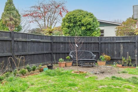 Photo of property in 81 Macarthur Street, Levin, 5510