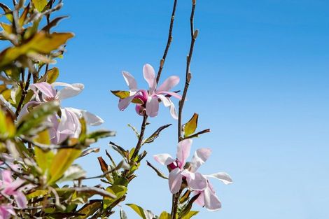 Photo of property in 17 Slowater Lane, Puhoi, Warkworth, 0994