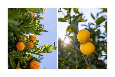 Photo of property in 302 Ballintoy Park Drive, Welcome Bay, Tauranga, 3175