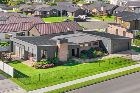 Photo of property in 77 Vogel Street, Cambridge, 3434