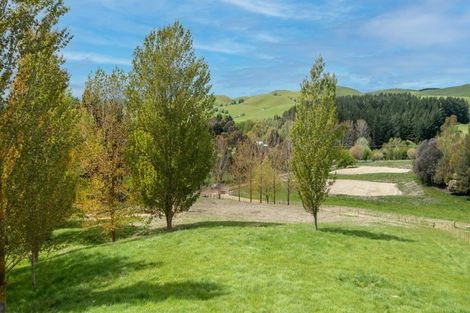 Photo of property in 97d Ireland Road, Waipawa, Otane, 4277