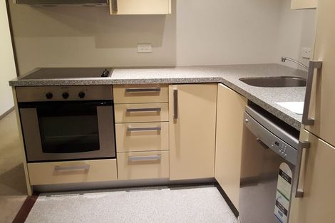 Photo of property in Dual Apartments, 210/142 Vivian Street, Te Aro, Wellington, 6011