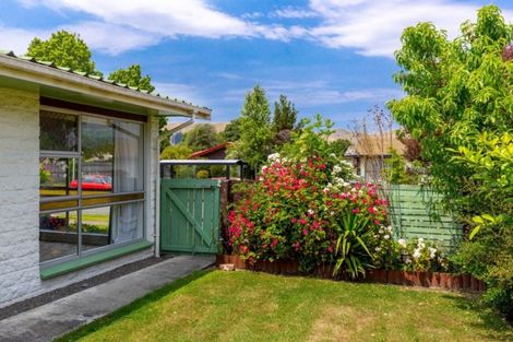 Photo of property in 21 Ida Street, Redwoodtown, Blenheim, 7201