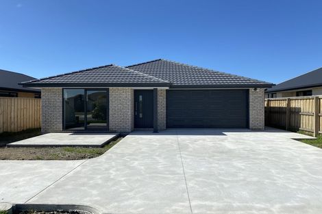 Photo of property in 11 Nathaniel Archer Street, Woodend, 7610