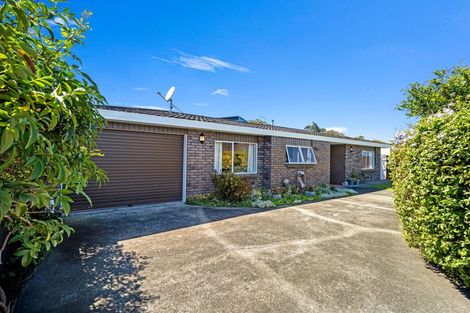 Photo of property in 54b Treadwell Street, Springvale, Whanganui, 4501