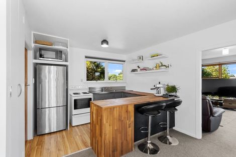 Photo of property in 41 Cardinal Drive, Hillmorton, Christchurch, 8025