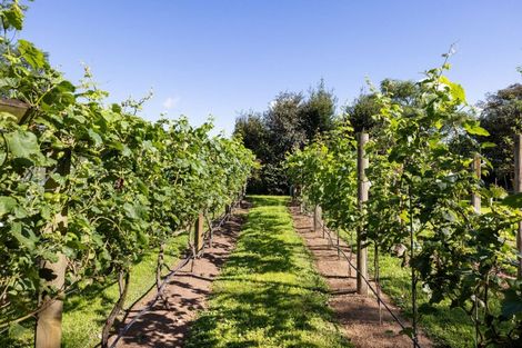 Photo of property in 417 Parklands Road, Rotoorangi, Te Awamutu, 3879