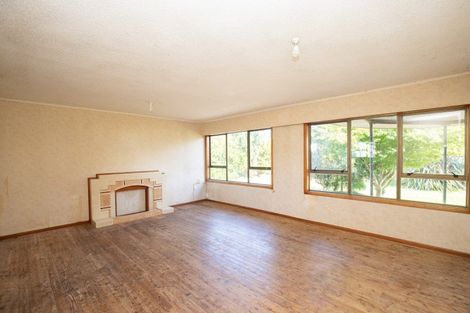 Photo of property in 18 Orchard East Road, Ngatea, 3503