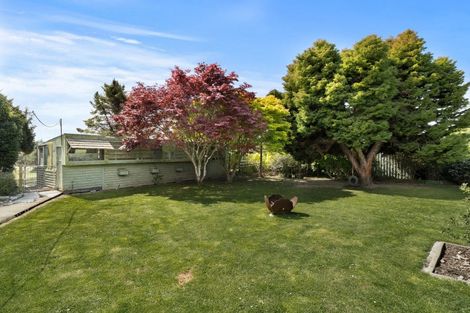 Photo of property in 3 Brough Street, Palmerston, 9430