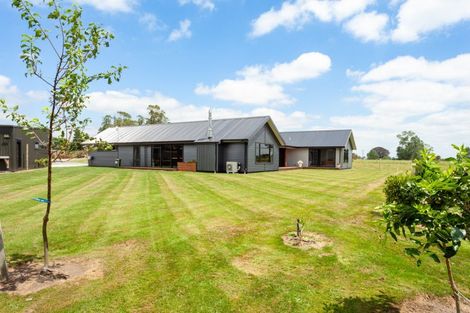 Photo of property in 1394 Tower Road, Wardville, Matamata, 3471