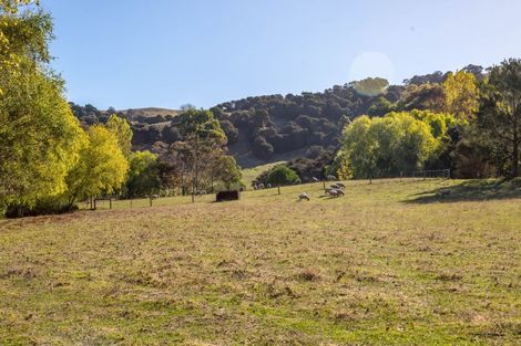 Photo of property in 205 Caveland Road, Te Whiti, Masterton, 5884