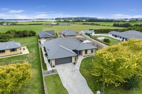 Photo of property in 9 Lakewood Grove, Levin, 5510