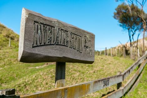 Photo of property in 307 Campbell Road, Pukehina, Te Puke, 3186