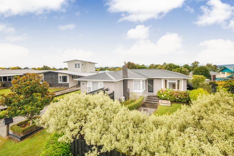 Photo of property in 1 Aotea Street, Feilding, 4702